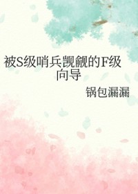 被级哨兵觊觎的级向导